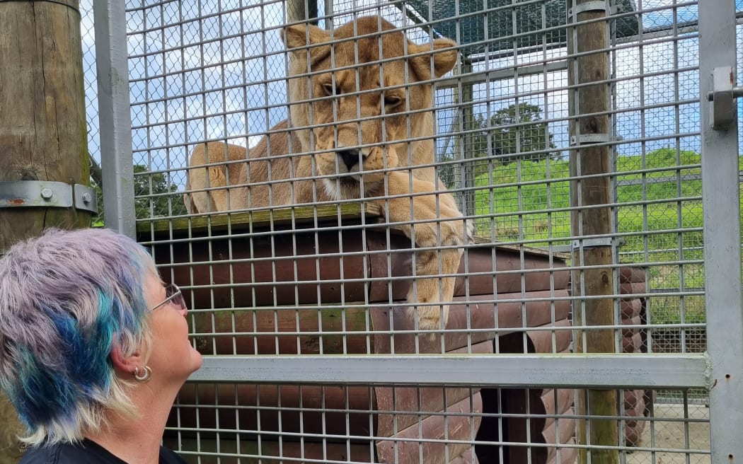 Janette Vallance with one of the sanctuary's lions.