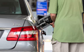 Government's fuel subsidy extension 'extremely dumb economic policy'