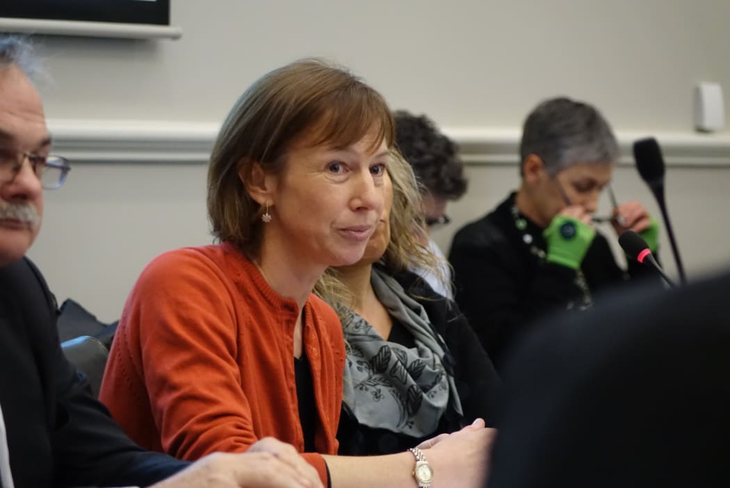 Professor Janine Hayward - the chair of the representation review - at a Dunedin City Council meeting on 15 June 2015.