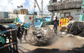 Majuro is the world's busiest tuna transshipment port
