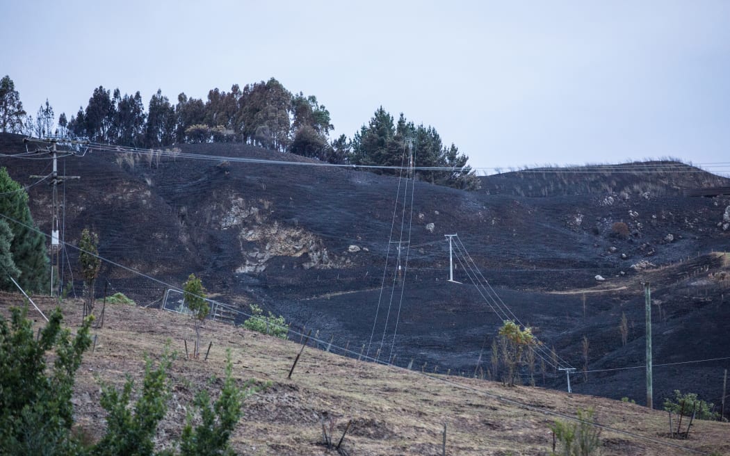 Burnt hills and power lines in Hawkes Bay.
