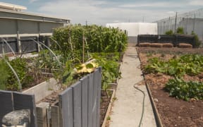 The garden made by young inmates at Christchurch Prison.