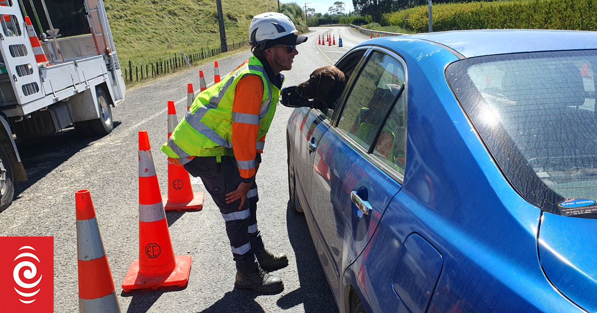 Cyclone Gabrielle: 'We're actually very lucky to make it out' - Traffic supervisor on being trapped near Napier - Vimarsana News