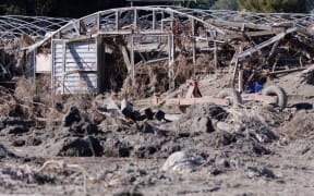 A shed in Esk Valley is filled with silt and debris from Cyclone Gabrielle