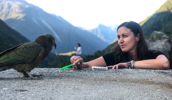 Laura Young with Kea, Otira, Arthur's Pass