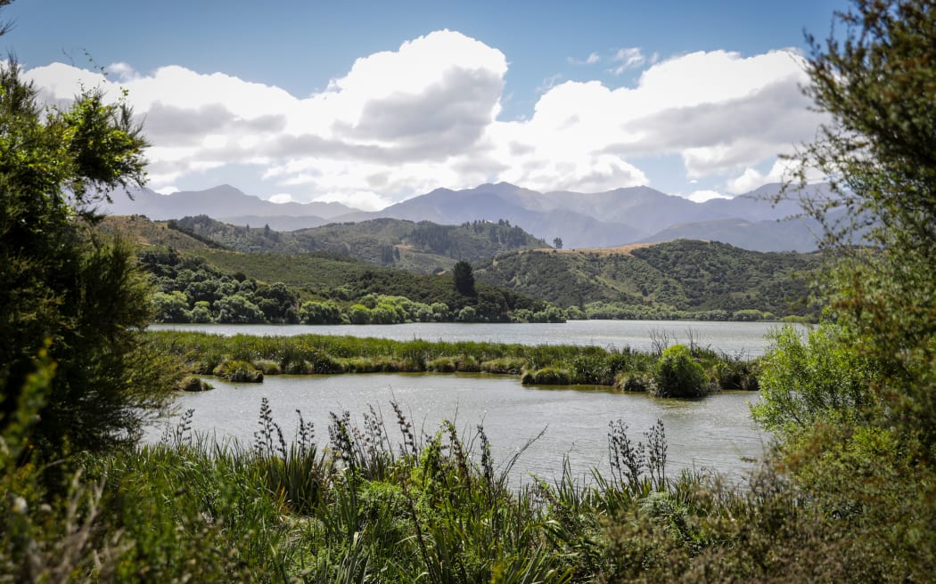 Ecan wetlands restoration work