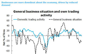 Graphic: Business Confidence NZIER survey