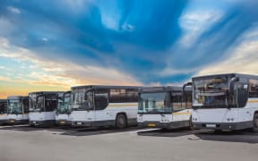 A fleet of tourist buses