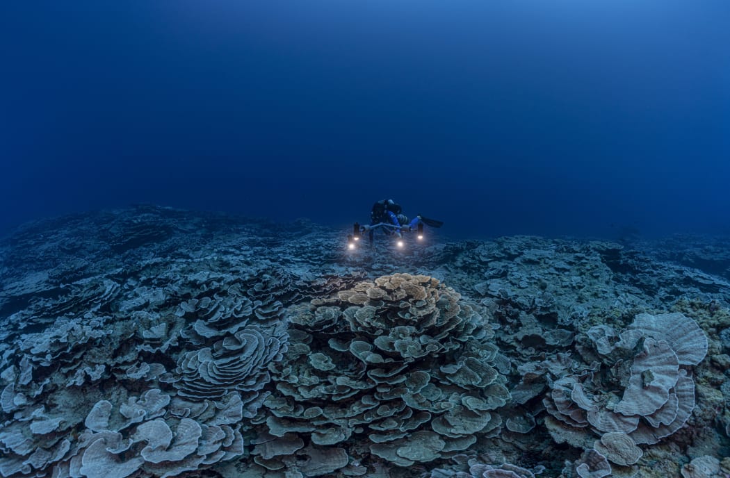 A coral reef site in pristine condition has been opened to the eyes of the world in French Polynesia
