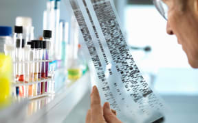 Scientist viewing a DNA sequence.