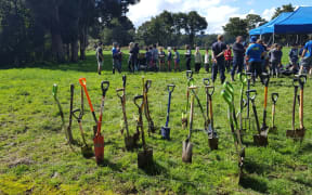 Kokopu school students planted 500 native trees and flax, on the banks of the Mangere stream, west of Whangarei.