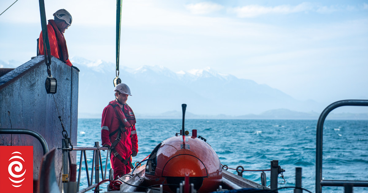 Kaikoura seafloor shows “amazing resilience” in the aftermath of the 2016 earthquake