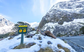 A no camping sign near Milford Sound entry, New Zealand.