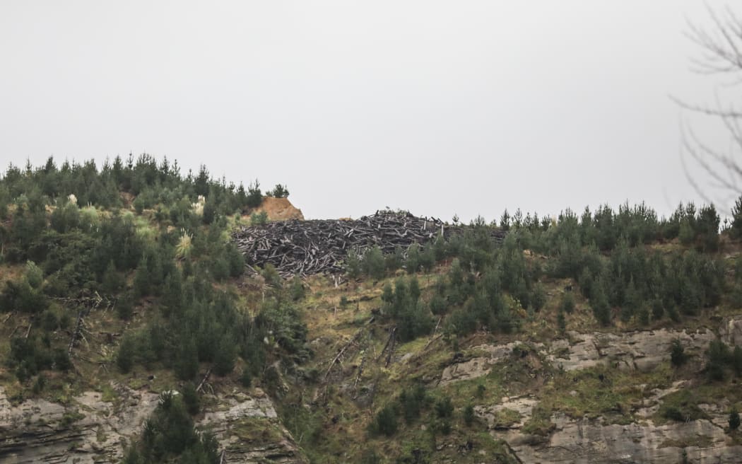 Taloga Bay, heavy rain forced piles of wood onto farmland.