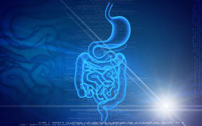 Digital illustration of human digestive system.