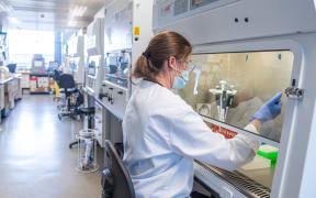 An undated handout picture released by the University of Oxford on November 23, 2020 shows a technician working at Oxford Vaccine Group on the University's COVID-19 candidate vaccine,
