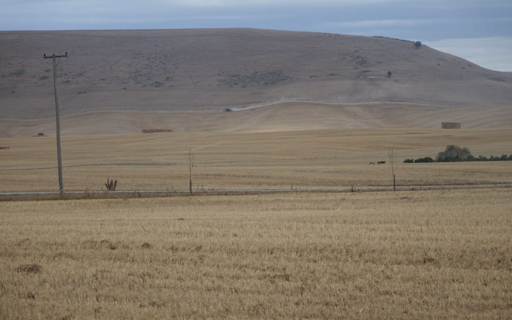 Dry land around Opuha Dam, Canterbury, 25 February 2015