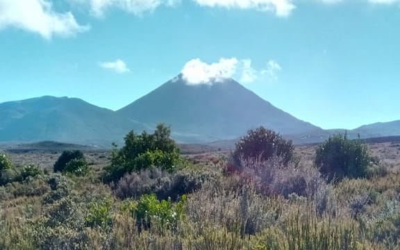 Tongariro looms large