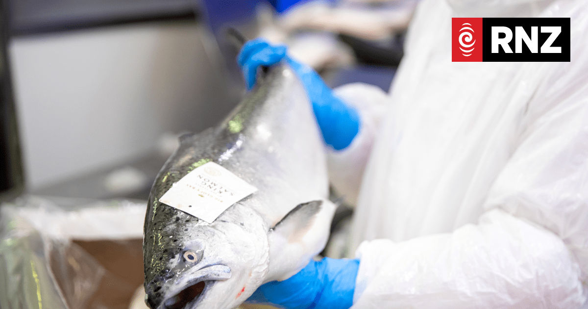 Seafood giant Sanford records best revenue result in five years - Vimarsana News