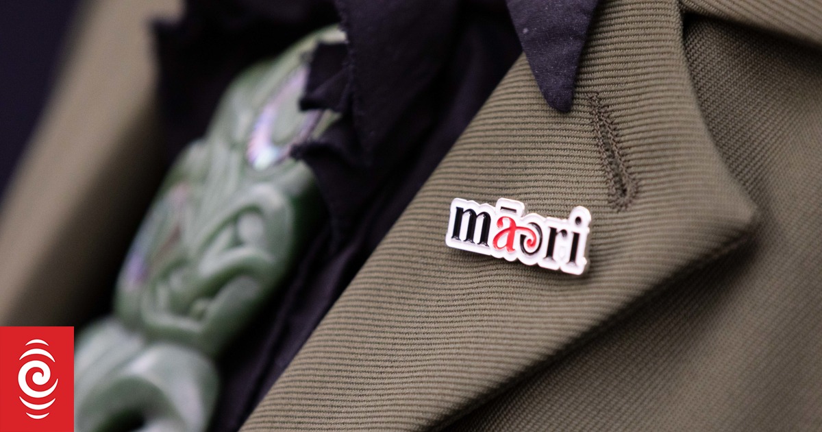 Te Pāti Māori calls for nationwide protest against government's co-governance policies - Vimarsana News