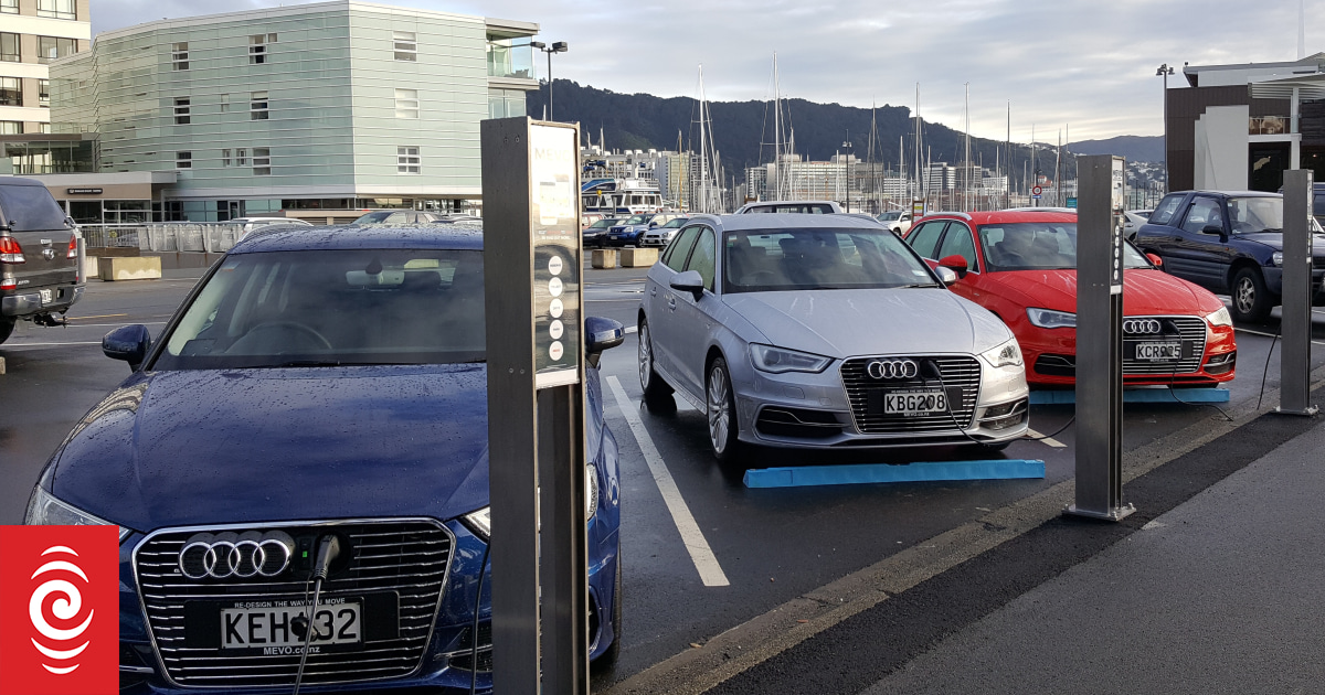 Growing numbers turn to car share services in Wellington