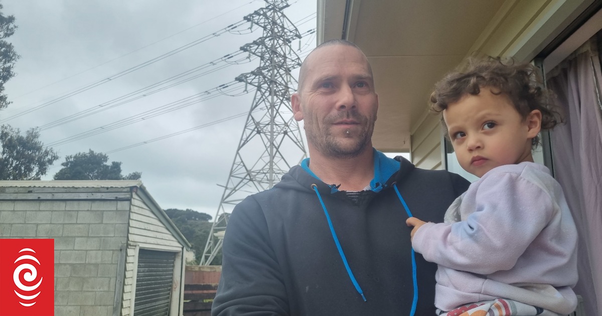 Power pylons to be taken down in New Plymouth suburb won't be missed by residents - Vimarsana News