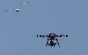 A seagull chases the TV drone on the second day of the second test beween NZ and Sri Lanka on 4 January.