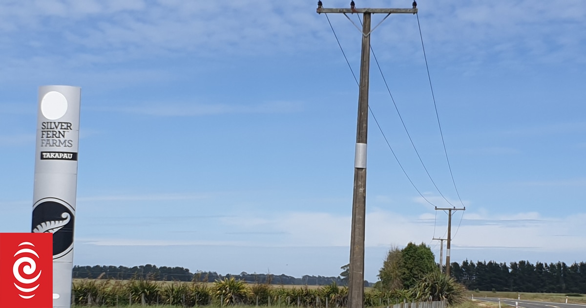 Silver Fern Farms worker loses hand after it was crushed in machinery - Vimarsana News