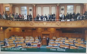 Marama Fox said MPs needed to attend treaty settlement bill readings to learn of the historic treaty breaches.
