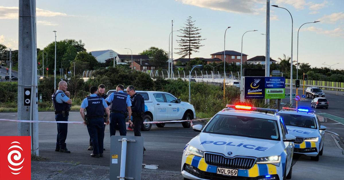 Police respond to callout in Massey after person dies