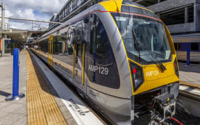 Auckland train delays after tourists wander into tunnel between stations