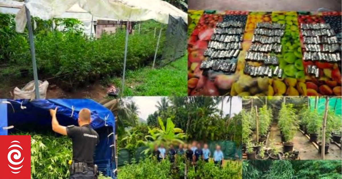 Anti-drugs operation in French Polynesia ahead of 2024 Olympics - Vimarsana News
