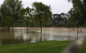 Surface flooding in the Otaihanga Domain, near the Waikanae River