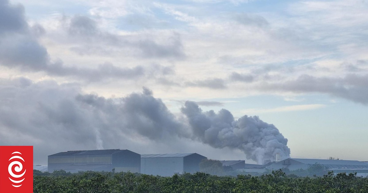 Sims Pacific Metal blaze: Company boss promises full inquiry into Auckland fire - Vimarsana News