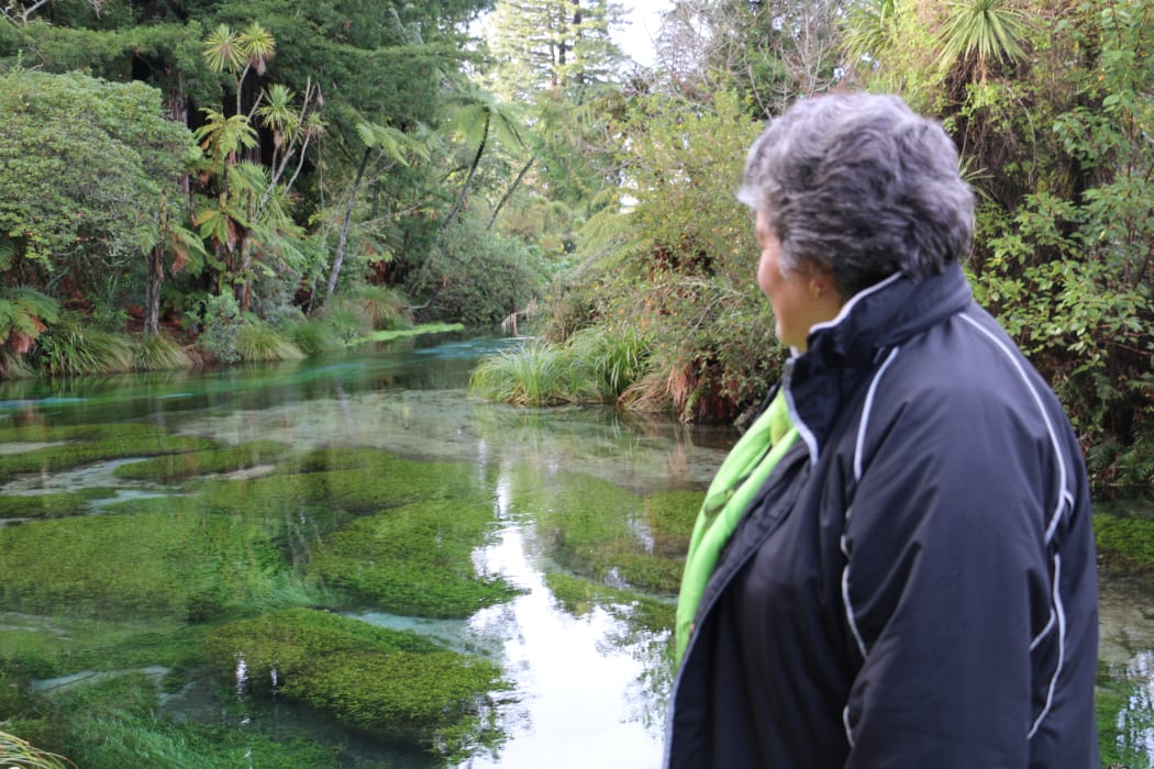 Te Rangikaheke says Hamurana Springs is not a place for swimming but people do fill their water bottles there.