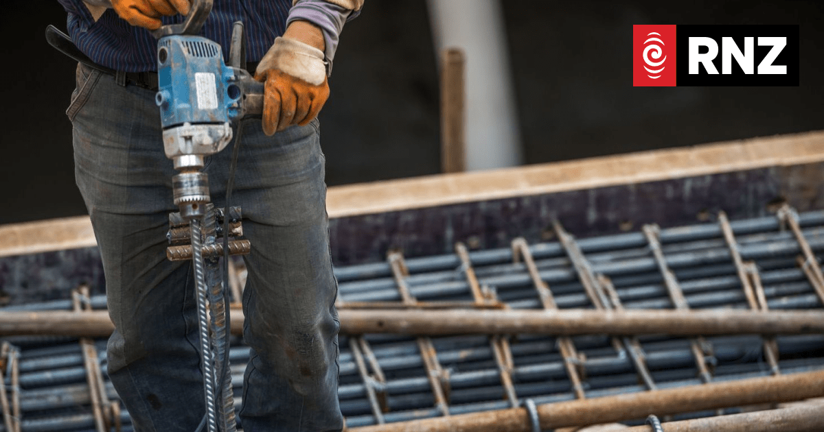 Businesses receiving funding despite apprentices getting no credits - industry sources - Vimarsana News