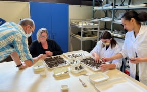 Tania Maguigan and Dr. Gerard O'Regan at one of the sorting tables with Sabre Baker-Anderson and Marie Dunn from University of Otago.