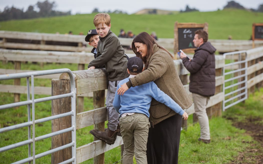 Kids gather around the bull pens at Hallmark Angus' bull sale in June 2023