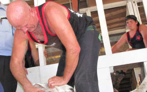 NZ shearing legend David Fagan at Geyserland Shears at the Rotorua A&P Show.