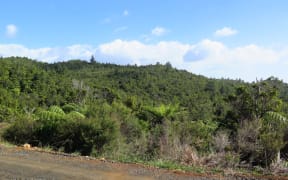 The Coromandel property is a 404 hectare block of land near Tairua