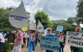 Protestors against a proposed dam near Masterton march down the town's Queen St.