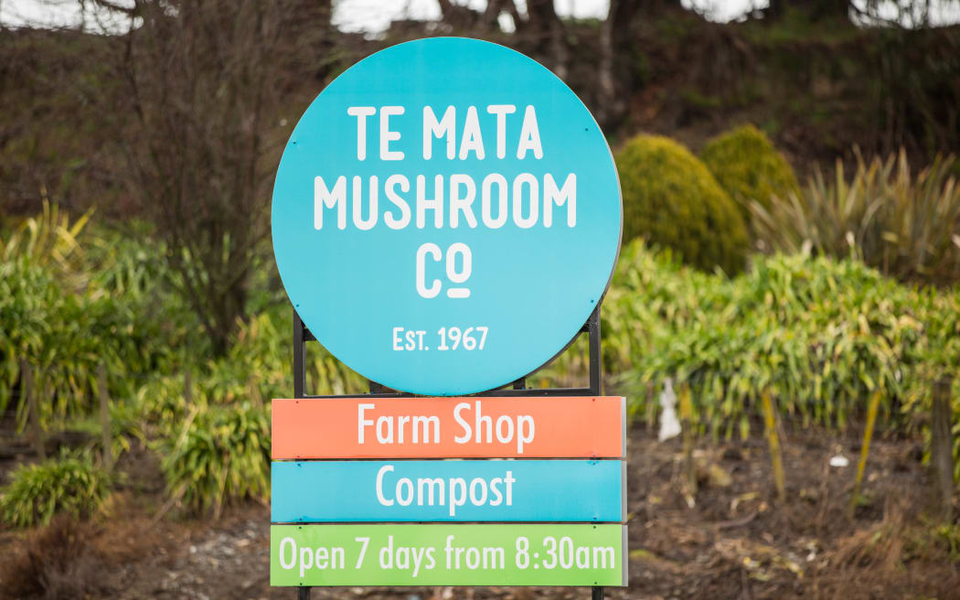 Mushroom farm in Havelock North to cut jobs and stop production RNZ News