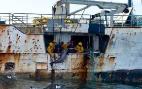 The New Zealand Defence Force says this photo shows fisherman hauling toothfish onboard the fishing vessel, Kunlun.