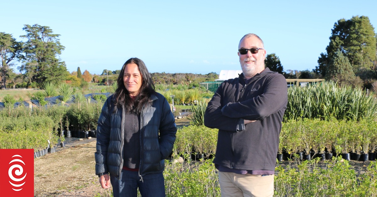 Half price natives - and planted for free - Vimarsana News