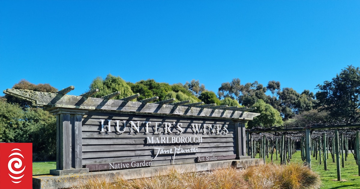 Half a century on from first planting of world famous Marlborough wine grapes - Vimarsana News