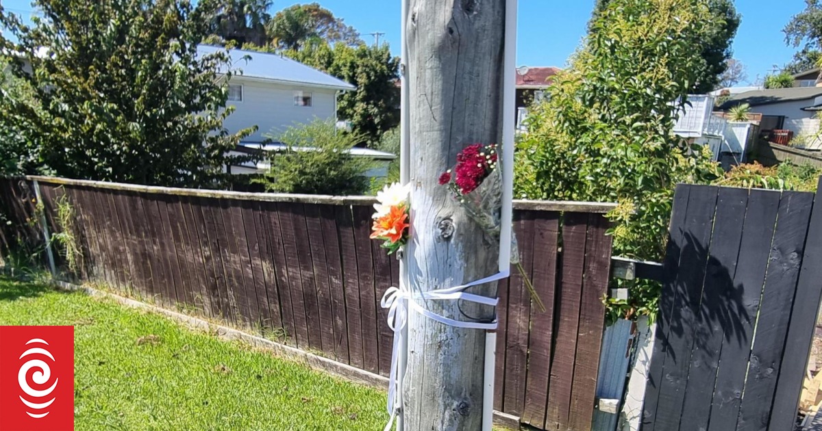 Beach Haven road fatal attack: ‘It was absolutely awful’ – witness shields body with tarpaulin