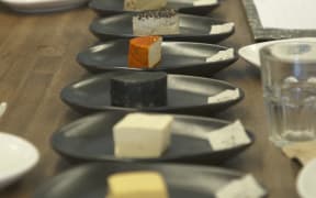A line-up of vegan cheeses at the first vegan cheese competition.