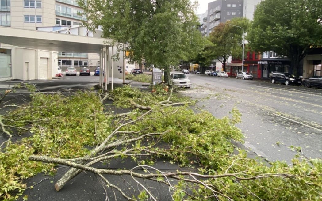 Strong winds from Cyclone Gabrielle brought down trees on Hobson Street, in Auckland's CBD.