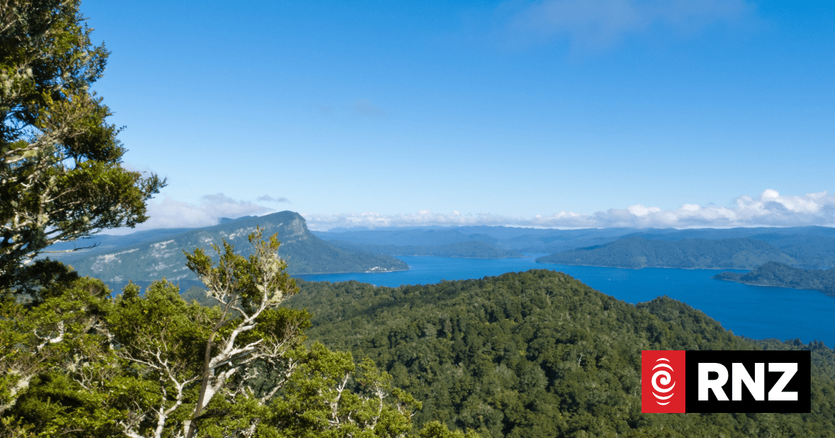 Police investigating report of further Te Urewera hut burnings