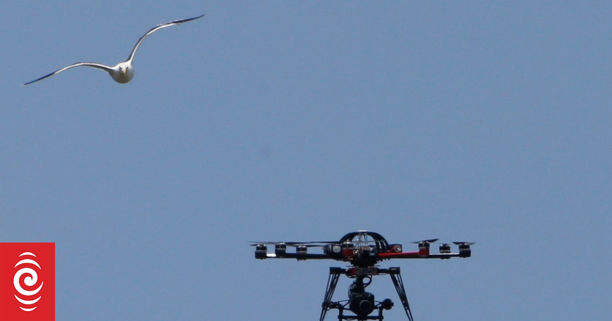 Domino's expanding drone delivery service RNZ News